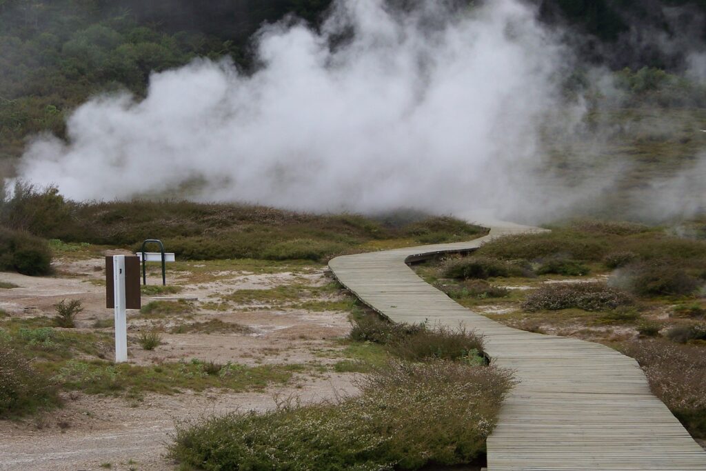 Weg schlängelt sich durch die Heide in den Nebel