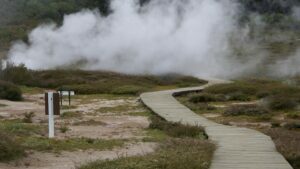 Weg schlängelt sich durch die Heide in den Nebel